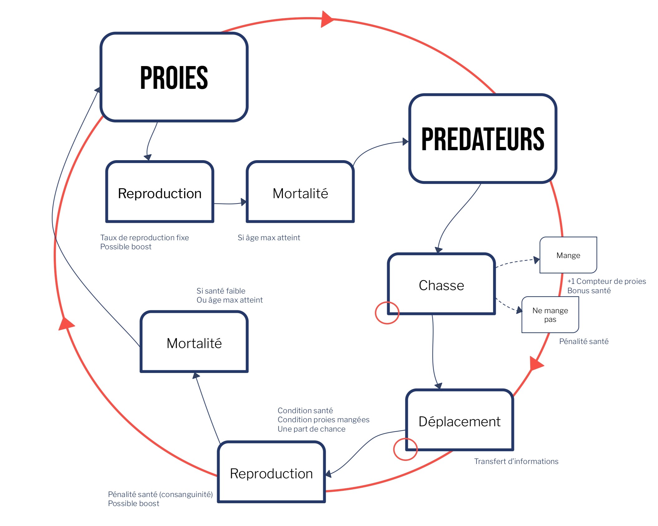 Schéma du cycle proies-prédateurs — boucle update complète